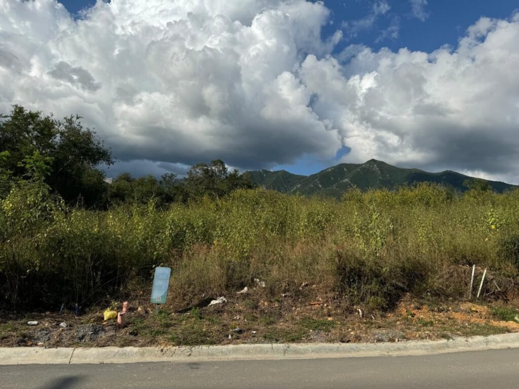 VENTA TERRENO AYSSO | CARRETERA NACIONAL, N.L